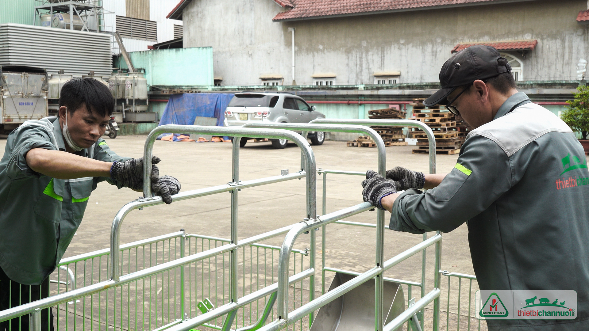 Chuồng heo nái đẻ