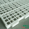 Sàn-gia-cầm-lỗ-vuông-trung-20x21mm