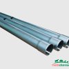 Ong dna cam phi 45