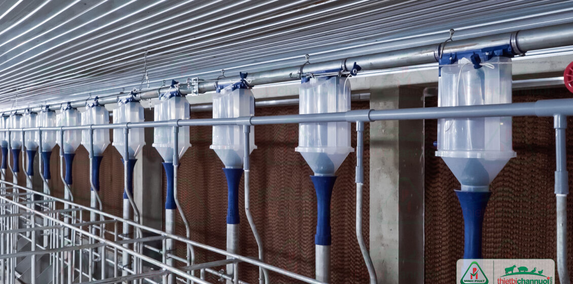 Hợp định lượng