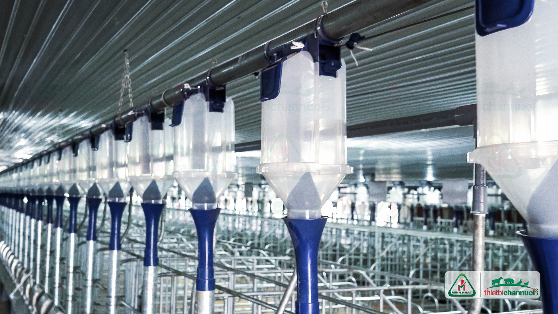 Hợp định lượng