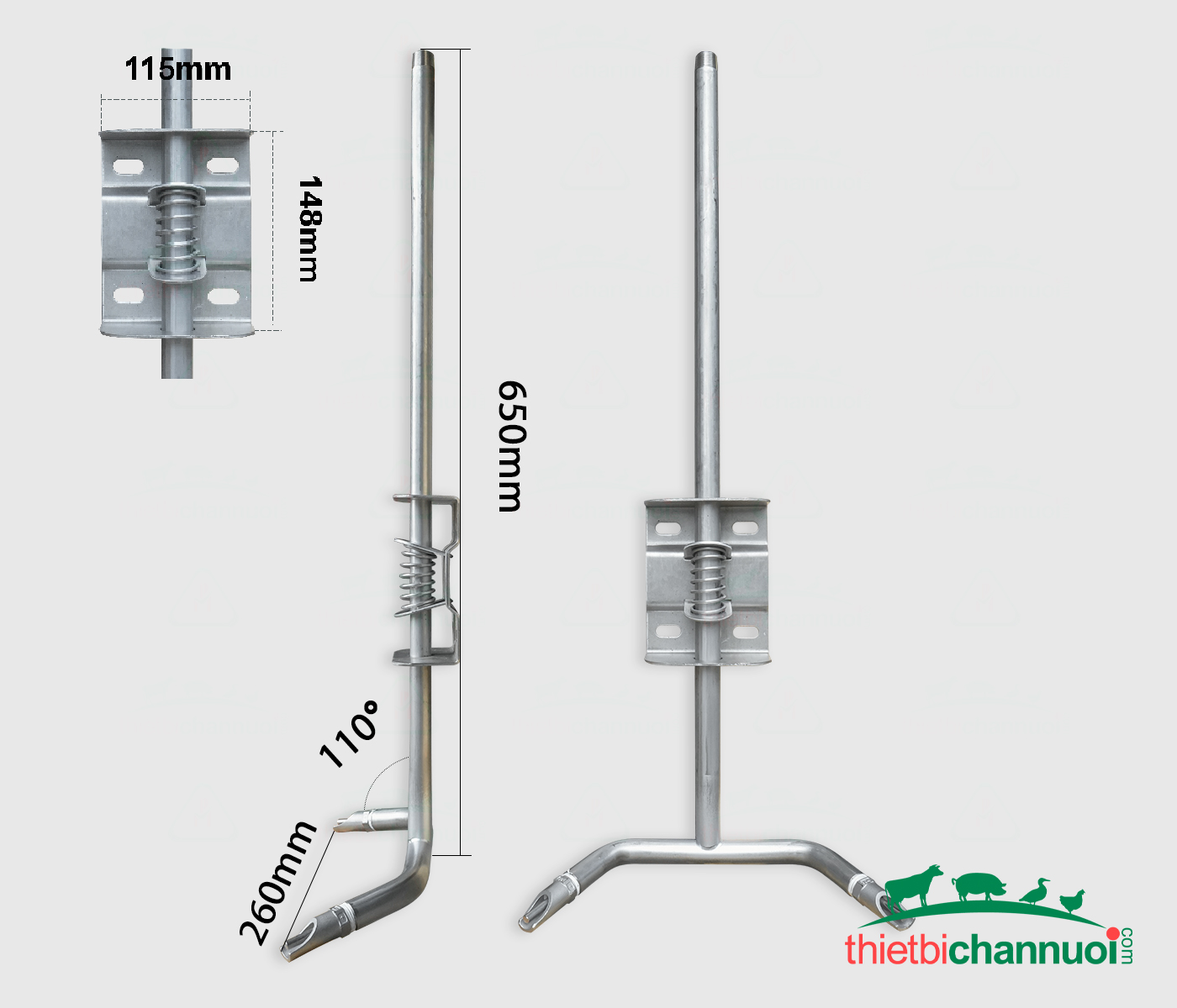 Cây uống nước đôi