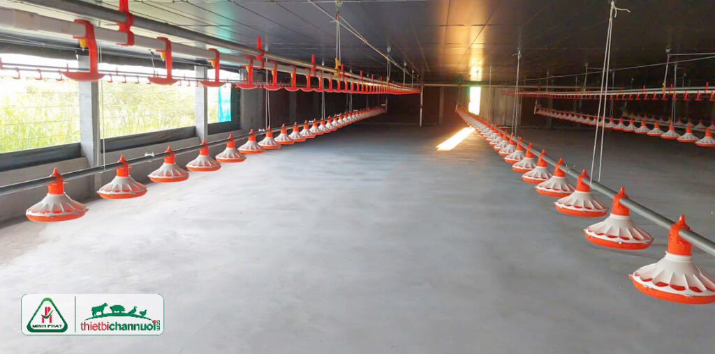 Máng ăn tự động