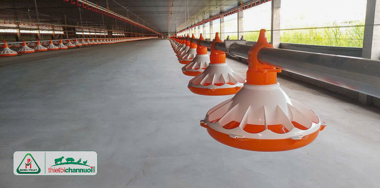 Máng ăn tự động