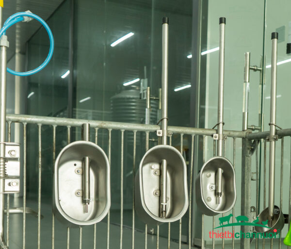 Bộ chén nước heo thịt - Image 3